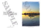 Spear Making 9781925398748 sample pagespread 2