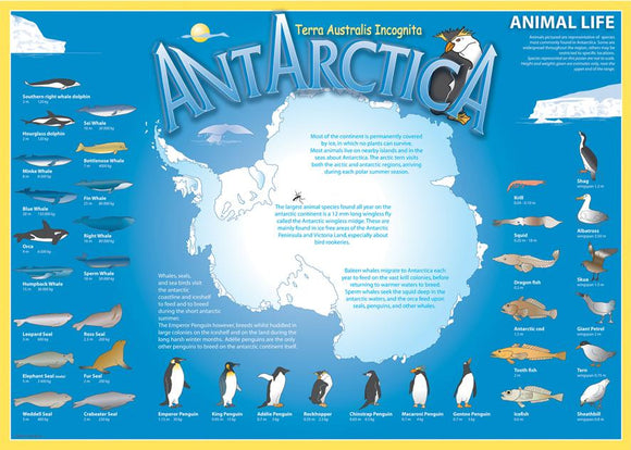 Antarctica Poster Set - 3 A2 Colour Posters ER2715P