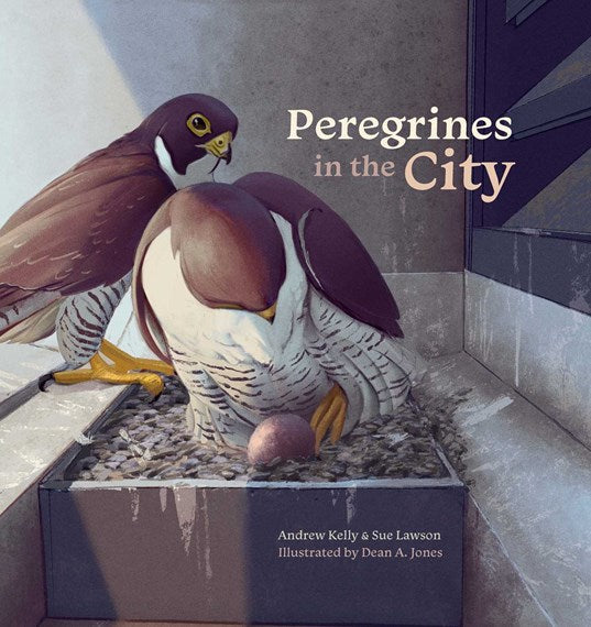 Peregrines in the City 9781742036519