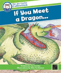 If You Meet a Dragon... (Big Book) 9781877454820