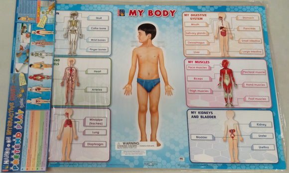 My Body (Interactive Wallchart)