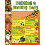 Building A Healthy Body Wallchart