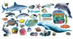 Coastal Sea Life Mini Bulletin Board Set