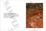 Rock Paintings 9781925398861 sample pagespread 1