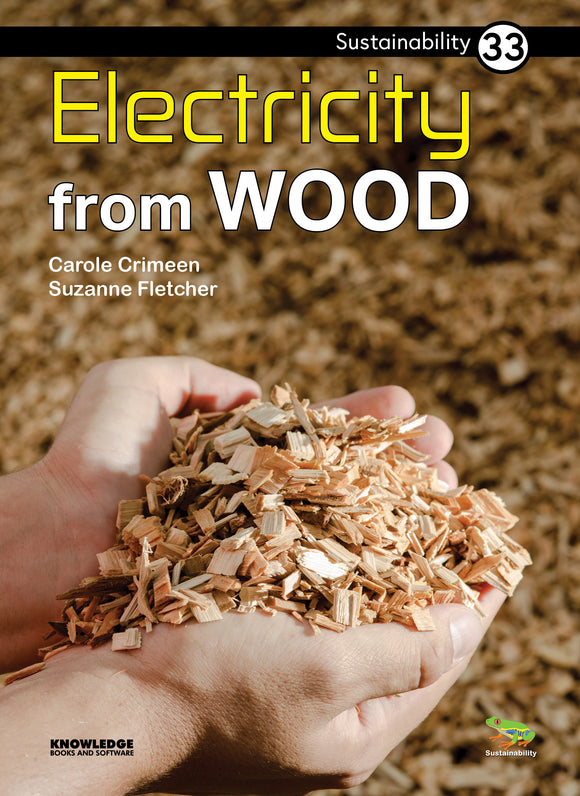 Electricity from Wood