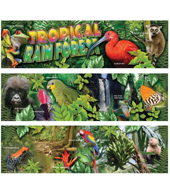Tropical Rain Forest Mini Bulletin Board Set 9781580375030
