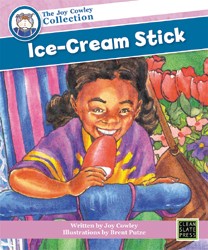 Ice-Cream Stick (Small Book) 9781877454875