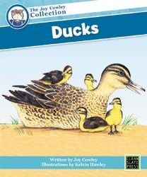 Ducks (Small Book) 9781877454936