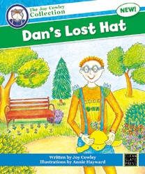 Dan's Lost Hat (Small Book) 9781877499494