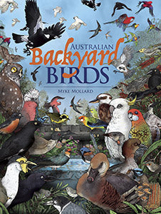 Australian Backyard Birds 9781922800237