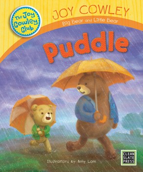 Puddle (Small Book) 9781927186343