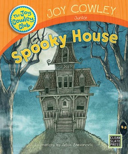 Spooky House (Small Book) 9781927185469